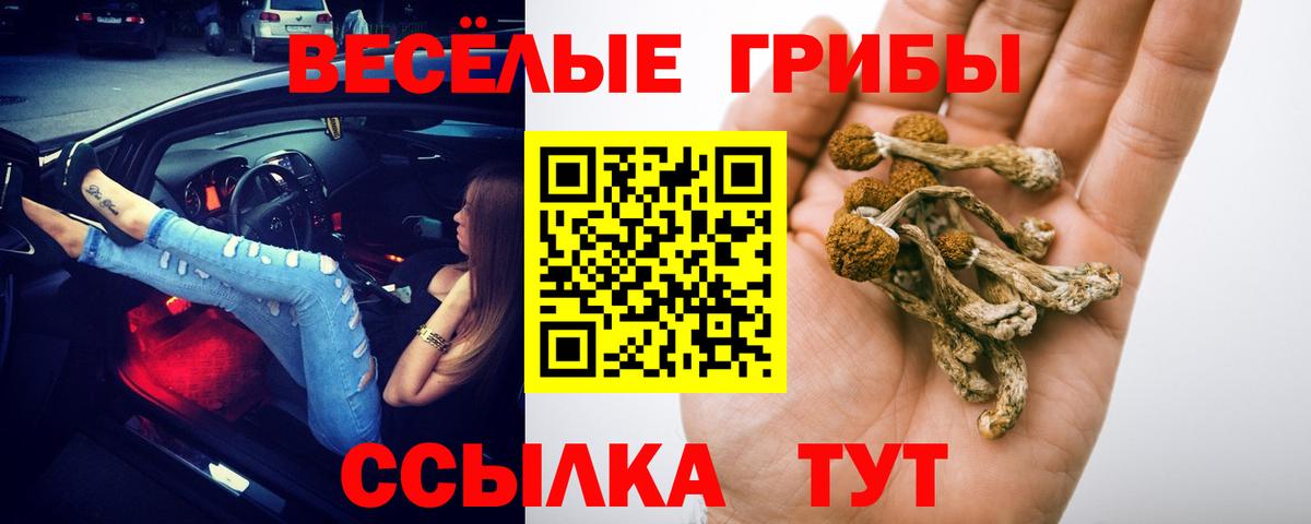 Галлюциногенные грибы Cubensis Якутск